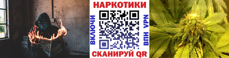 Купить наркотики цена Суджа Альфа ПВП 