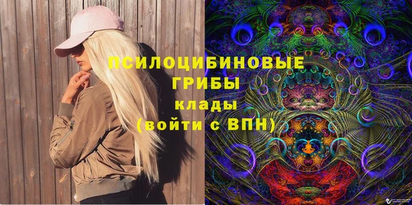 spice Алексеевка