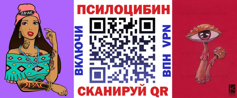 Псилоцибиновые грибы Magic Shrooms  Суджа 